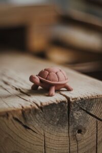 Mini Clay Turtle in 2025 Kleikikker, schildpad, zand 1 e885fc925f7ffe4528cca30d31d66aa4